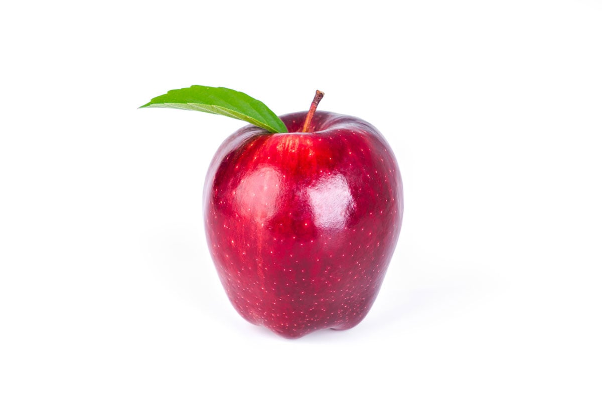 نهال سیب ردچیف: خرید + [ قیمت و مشخصات کامل ]