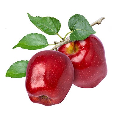 نهال سیب قرمز فرانسوی: خرید + [قیمت و مشخصات کامل]