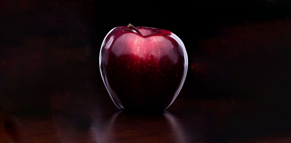 نهال سیب میراکل : خرید + [قیمت و مشخصات کامل]