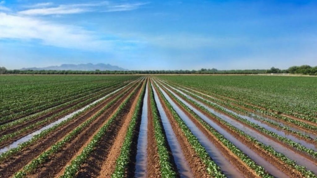 انواع روشهای آبیاری زمین های کشاورزی