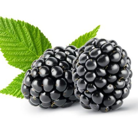 Isolated berry. Two whole fresh blackberry fruit with leaves iso