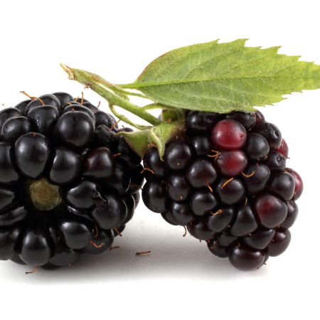 Blackberries,Isolated,On,White