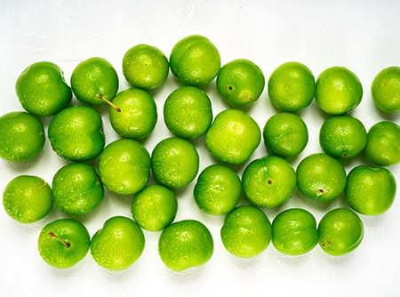 نهال گوجه سبز سردرودی–پالیز نهال