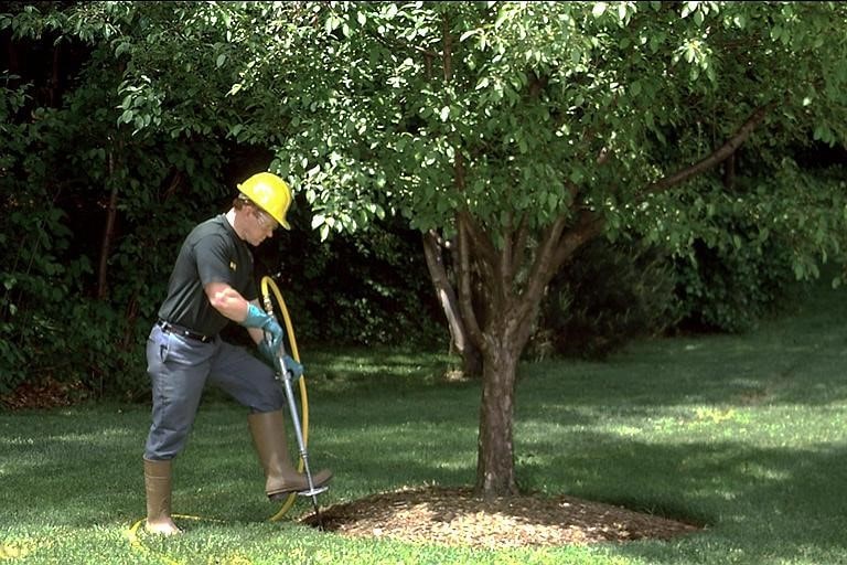کود مناسب برای خاک درخت آلو
