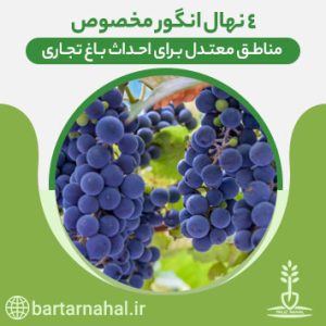 احداث باغ تجاری