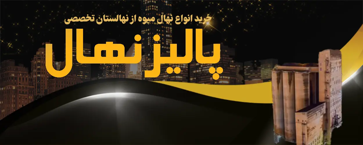خرید نهال در اراک