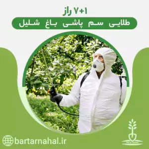 سم پاشی درخت شلیل